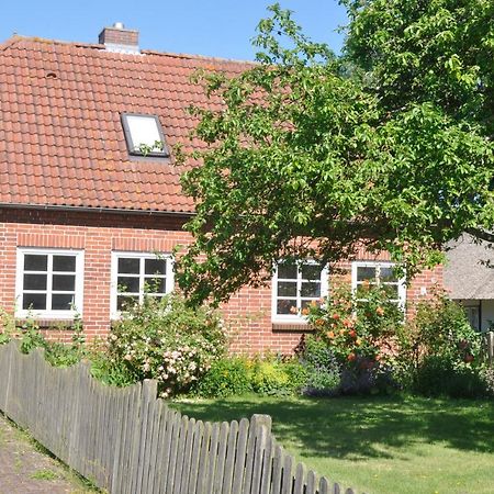 Fischerhus فيهمارن المظهر الخارجي الصورة